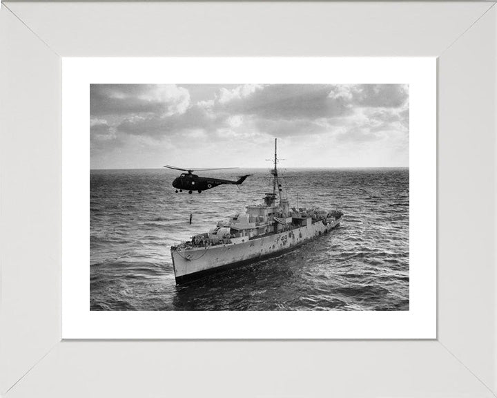 HMS Pheasant F49 (U49) Royal Navy Modified Black Swan class sloop Photo Print or Framed Print - Hampshire Prints