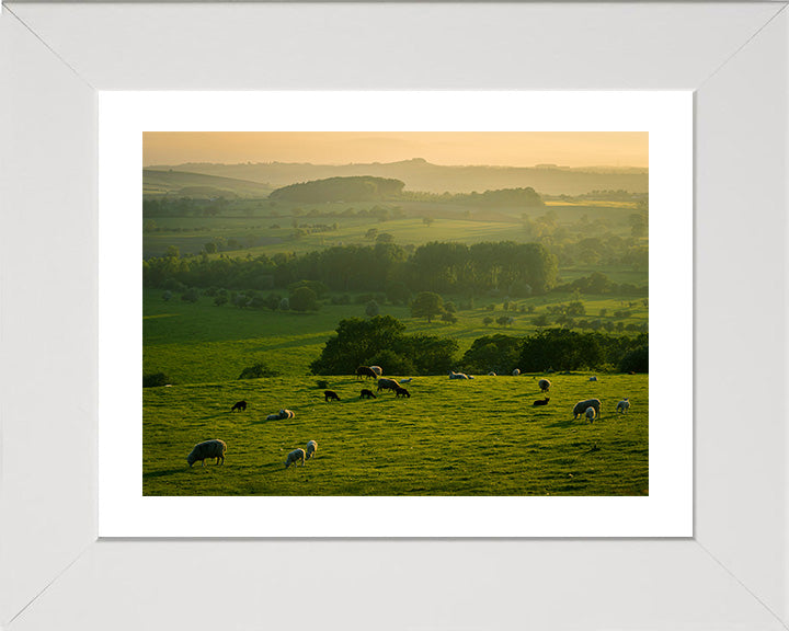 The Yorkshire Dales at sunset Photo Print - Canvas - Framed Photo Print - Hampshire Prints