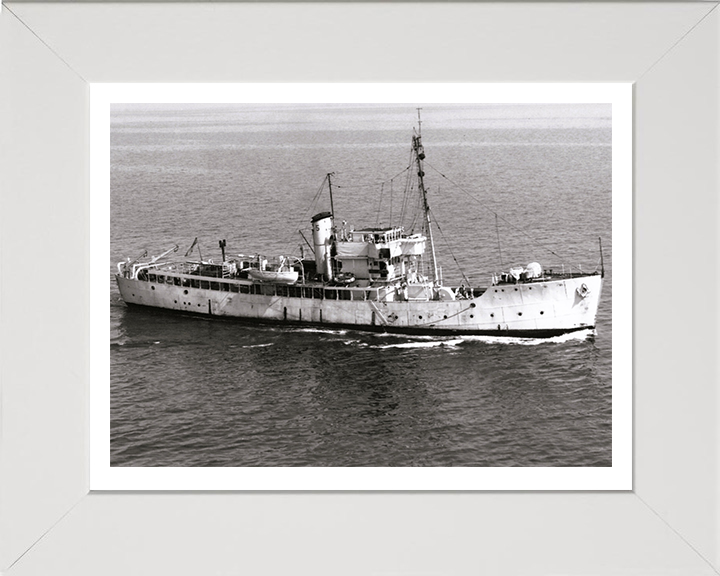 HMS Gateshead T288 Royal Navy Isles class Trawler Photo Print or Framed Print - Hampshire Prints