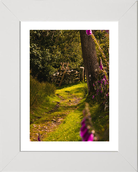 The Yorkshire Dales countryside in spring Photo Print - Canvas - Framed Photo Print - Hampshire Prints