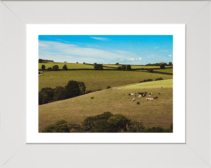 The Cornish countryside in summer Cornwall Photo Print - Canvas - Framed Photo Print - Hampshire Prints