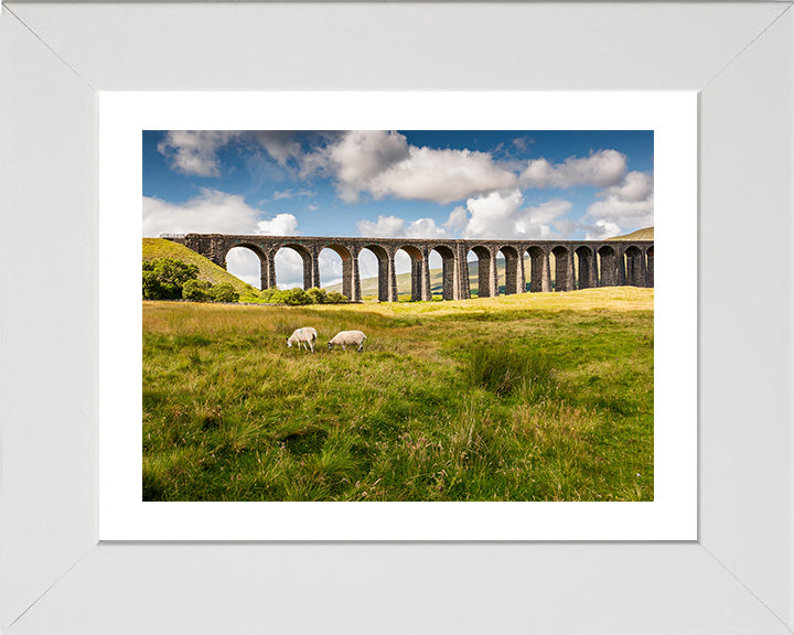 The Ribblehead Viaduct North Yorkshire in summer Photo Print - Canvas - Framed Photo Print - Hampshire Prints