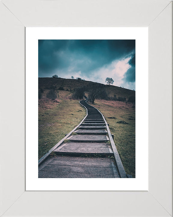 Steps leading up St Catherine's Hill Winchester Hampshire Photo Print - Canvas - Framed Photo Print - Hampshire Prints