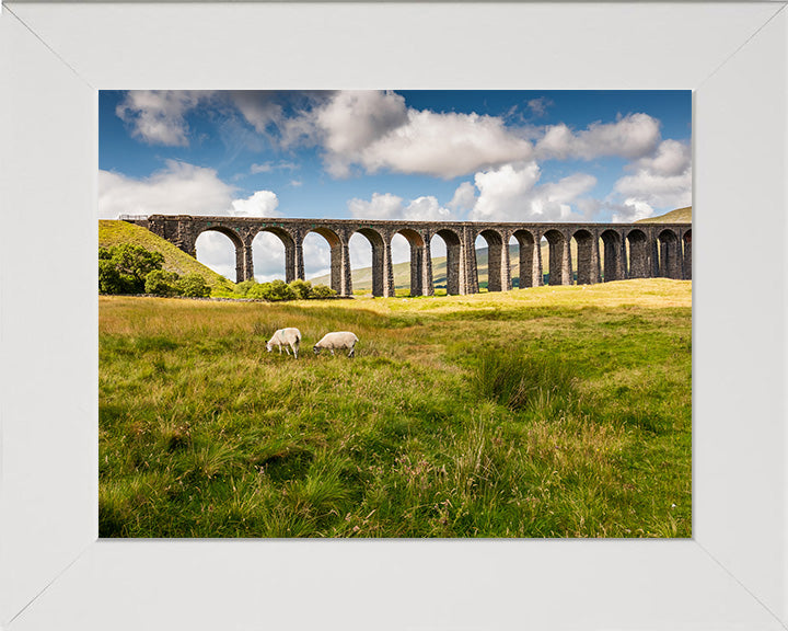 The Ribblehead Viaduct North Yorkshire in summer Photo Print - Canvas - Framed Photo Print - Hampshire Prints