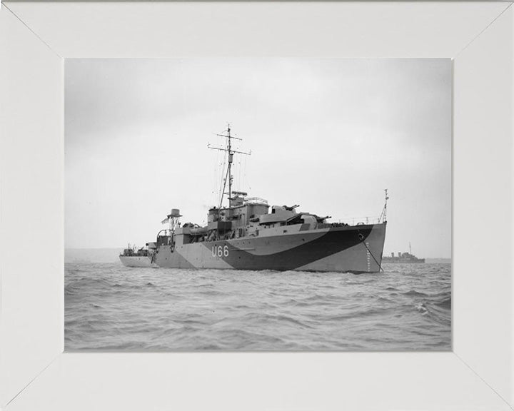 HMS Starling U66 Royal Navy Modified Black Swan Class sloop Photo Print or Framed Print - Hampshire Prints