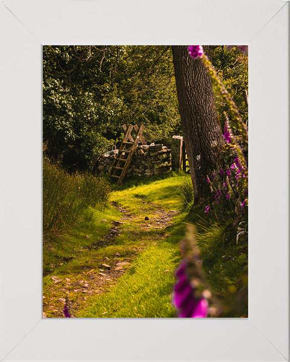 The Yorkshire Dales countryside in spring Photo Print - Canvas - Framed Photo Print - Hampshire Prints