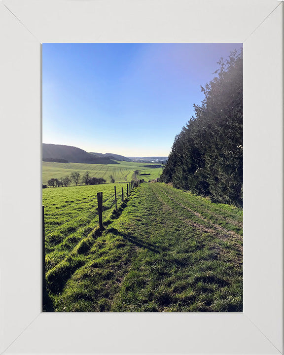 Kingley Vale National Nature Reserve West Sussex Photo Print - Canvas - Framed Photo Print - Hampshire Prints