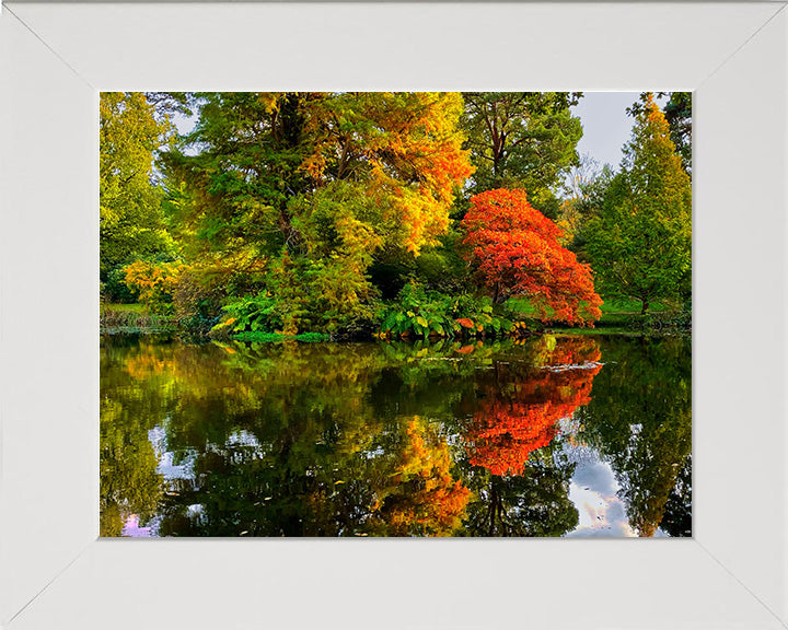 Exbury Gardens The New Forest Hampshire in Autumn Photo Print - Canvas - Framed Photo Print - Hampshire Prints