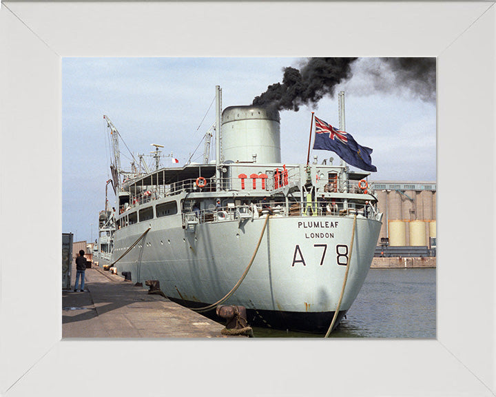 RFA Plumleaf A78 Royal Fleet Auxiliary Leaf class support tanker Photo Print or Framed Print - Hampshire Prints