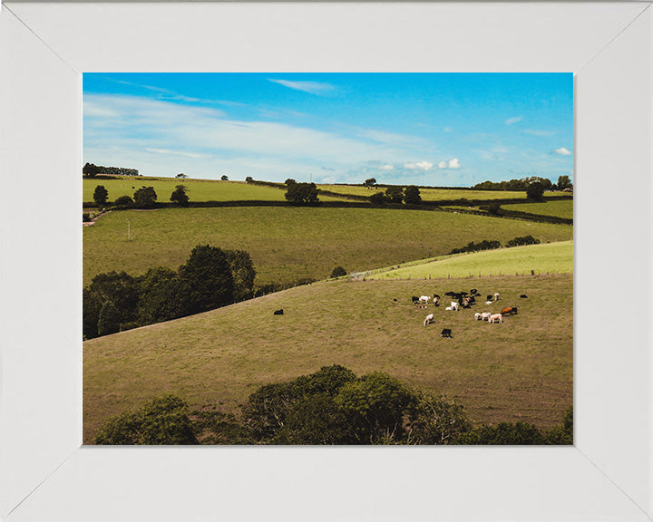 The Cornish countryside in summer Cornwall Photo Print - Canvas - Framed Photo Print - Hampshire Prints