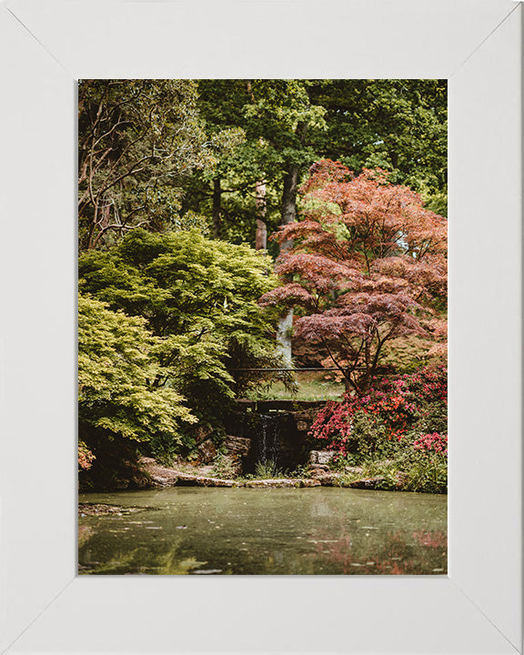 Exbury Gardens waterfall The New Forest Hampshire in Autumn Photo Print - Canvas - Framed Photo Print - Hampshire Prints