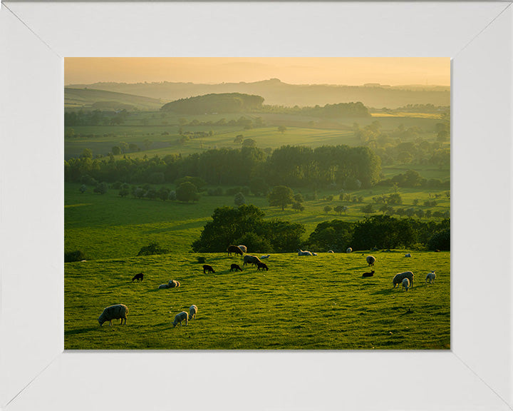 The Yorkshire Dales at sunset Photo Print - Canvas - Framed Photo Print - Hampshire Prints