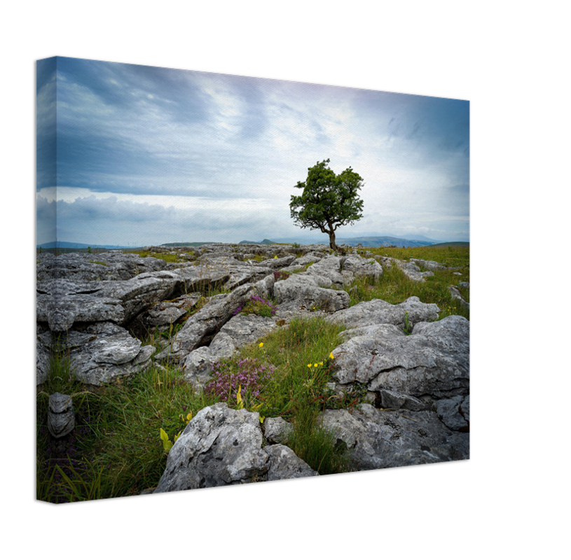 A lone tree in The Yorkshire Dales Photo Print - Canvas - Framed Photo Print - Hampshire Prints