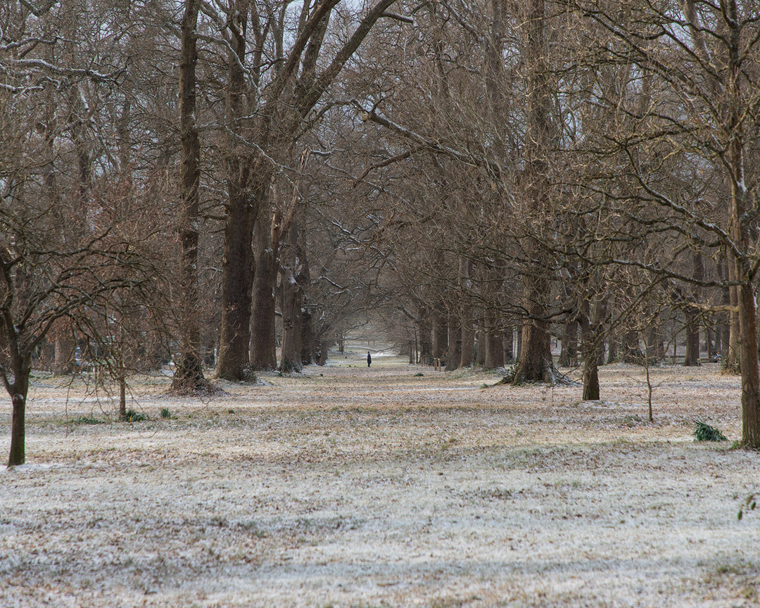 Light snowfall in the village of Hartley Wintney Hampshire Photo Print - Canvas - Framed Photo Print - Hampshire Prints