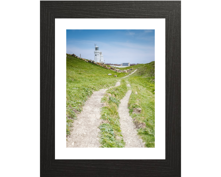 St Catherines lighthouse in spring Photo Print - Canvas - Framed Photo Print - Hampshire Prints