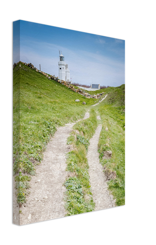 St Catherines lighthouse in spring Photo Print - Canvas - Framed Photo Print - Hampshire Prints