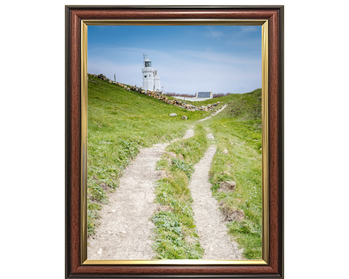 St Catherines lighthouse in spring Photo Print - Canvas - Framed Photo Print - Hampshire Prints