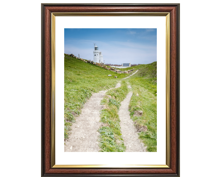 St Catherines lighthouse in spring Photo Print - Canvas - Framed Photo Print - Hampshire Prints