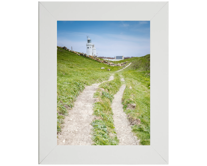 St Catherines lighthouse in spring Photo Print - Canvas - Framed Photo Print - Hampshire Prints