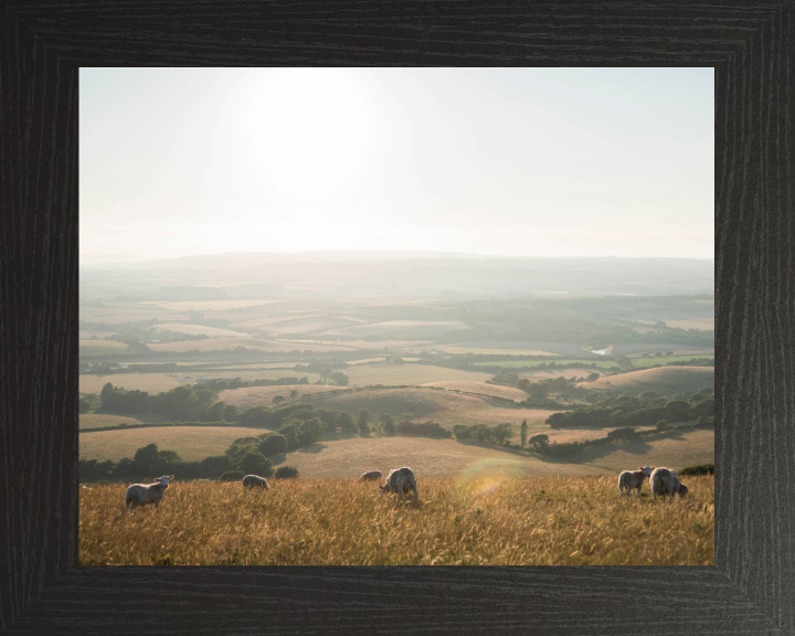 the Isle of Wight countryside Photo Print - Canvas - Framed Photo Print - Hampshire Prints