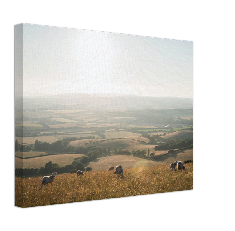 the Isle of Wight countryside Photo Print - Canvas - Framed Photo Print - Hampshire Prints