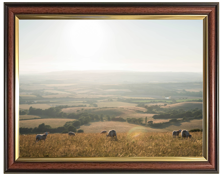 the Isle of Wight countryside Photo Print - Canvas - Framed Photo Print - Hampshire Prints