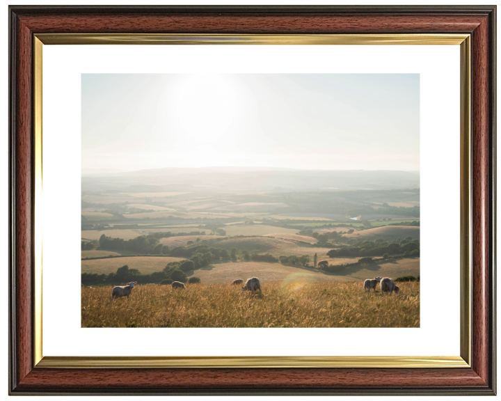 the Isle of Wight countryside Photo Print - Canvas - Framed Photo Print - Hampshire Prints