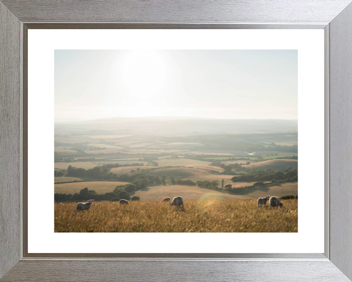 the Isle of Wight countryside Photo Print - Canvas - Framed Photo Print - Hampshire Prints