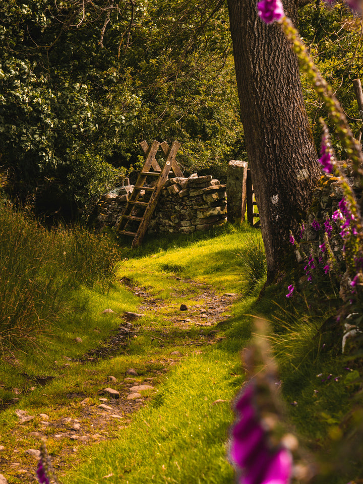 The Yorkshire Dales countryside in spring Photo Print - Canvas - Framed Photo Print - Hampshire Prints