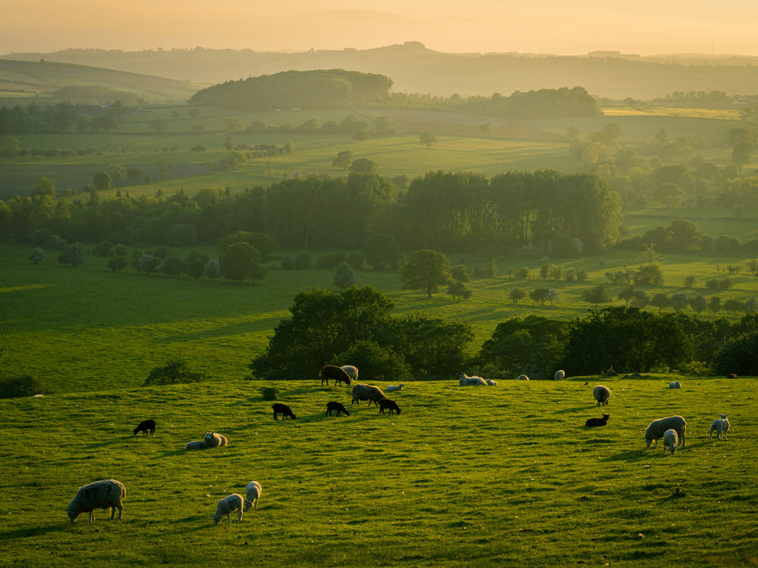 The Yorkshire Dales at sunset Photo Print - Canvas - Framed Photo Print - Hampshire Prints