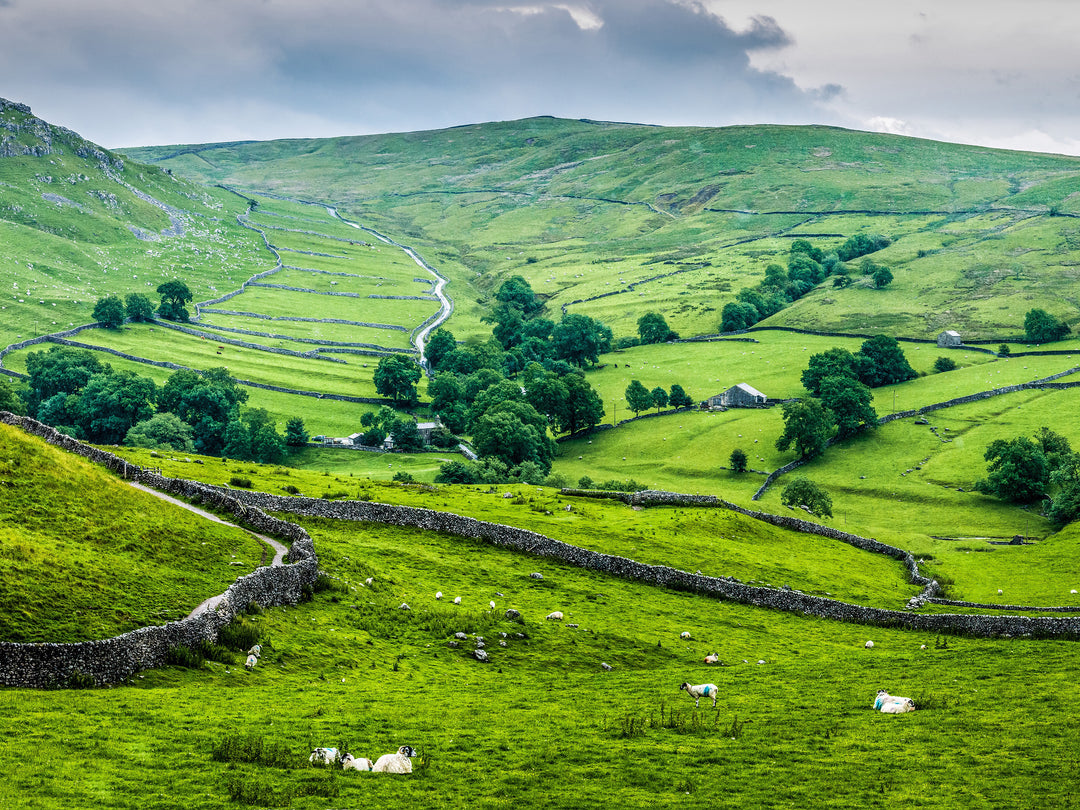 The Yorkshire Dales in spring Photo Print - Canvas - Framed Photo Print - Hampshire Prints