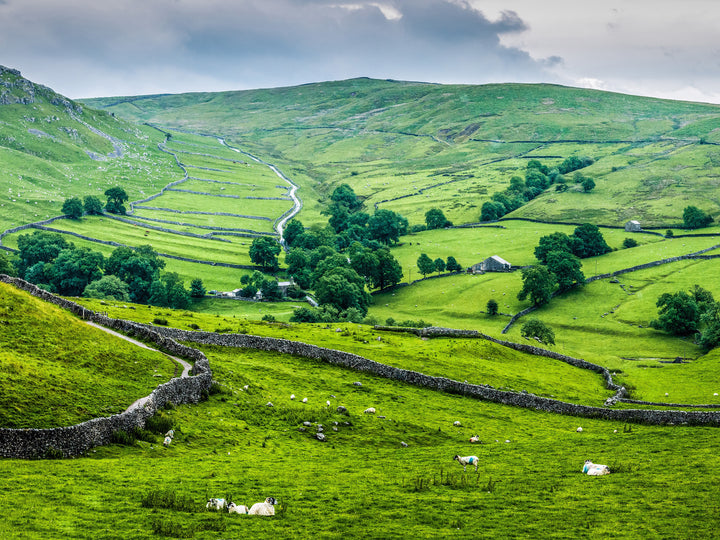 The Yorkshire Dales in spring Photo Print - Canvas - Framed Photo Print - Hampshire Prints