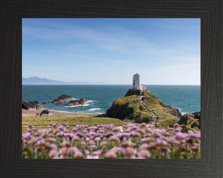 Traeth Llanddwyn Wales in spring Photo Print - Canvas - Framed Photo Print - Hampshire Prints