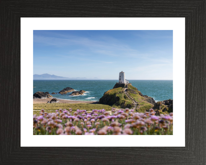 Traeth Llanddwyn Wales in spring Photo Print - Canvas - Framed Photo Print - Hampshire Prints