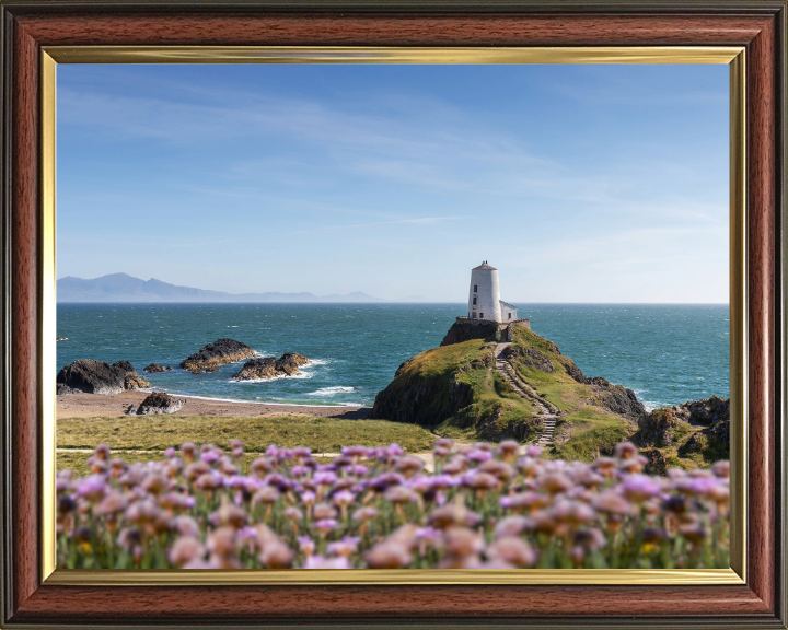 Traeth Llanddwyn Wales in spring Photo Print - Canvas - Framed Photo Print - Hampshire Prints