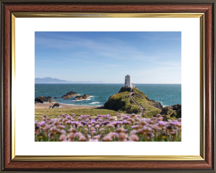 Traeth Llanddwyn Wales in spring Photo Print - Canvas - Framed Photo Print - Hampshire Prints