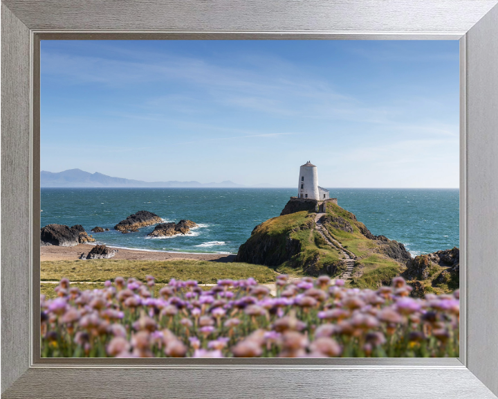 Traeth Llanddwyn Wales in spring Photo Print - Canvas - Framed Photo Print - Hampshire Prints