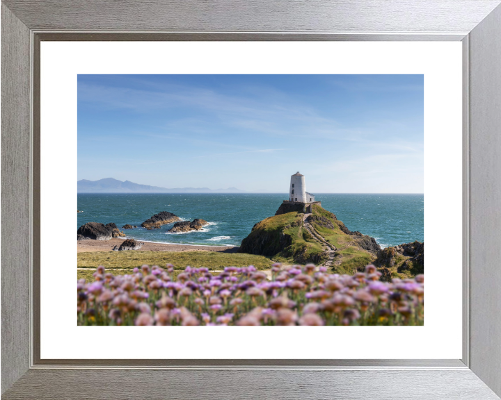 Traeth Llanddwyn Wales in spring Photo Print - Canvas - Framed Photo Print - Hampshire Prints