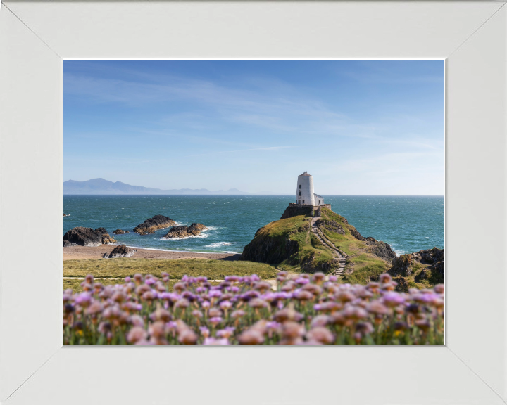 Traeth Llanddwyn Wales in spring Photo Print - Canvas - Framed Photo Print - Hampshire Prints