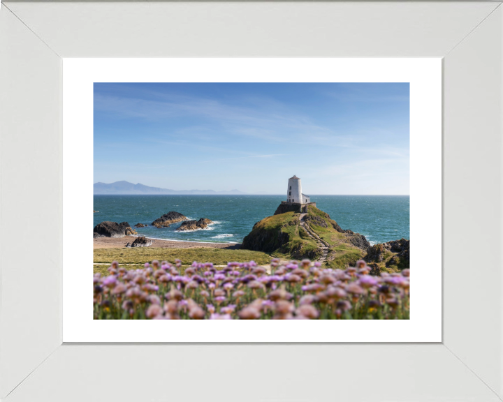 Traeth Llanddwyn Wales in spring Photo Print - Canvas - Framed Photo Print - Hampshire Prints