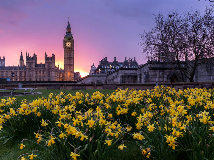 Westminster London in spring at sunset Photo Print - Canvas - Framed Photo Print - Hampshire Prints