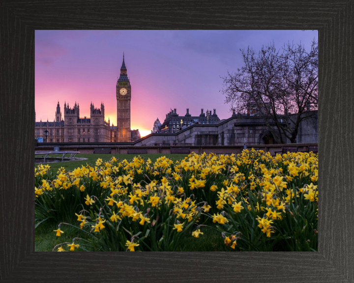 Westminster London in spring at sunset Photo Print - Canvas - Framed Photo Print - Hampshire Prints