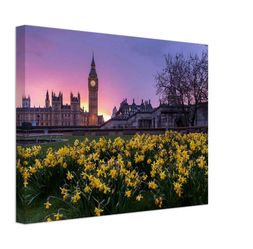 Westminster London in spring at sunset Photo Print - Canvas - Framed Photo Print - Hampshire Prints