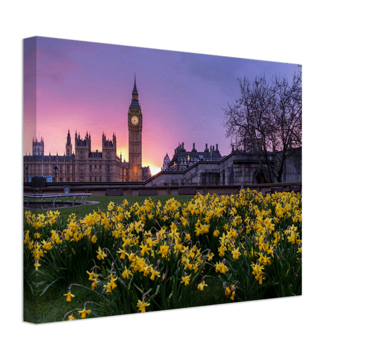 Westminster London in spring at sunset Photo Print - Canvas - Framed Photo Print - Hampshire Prints