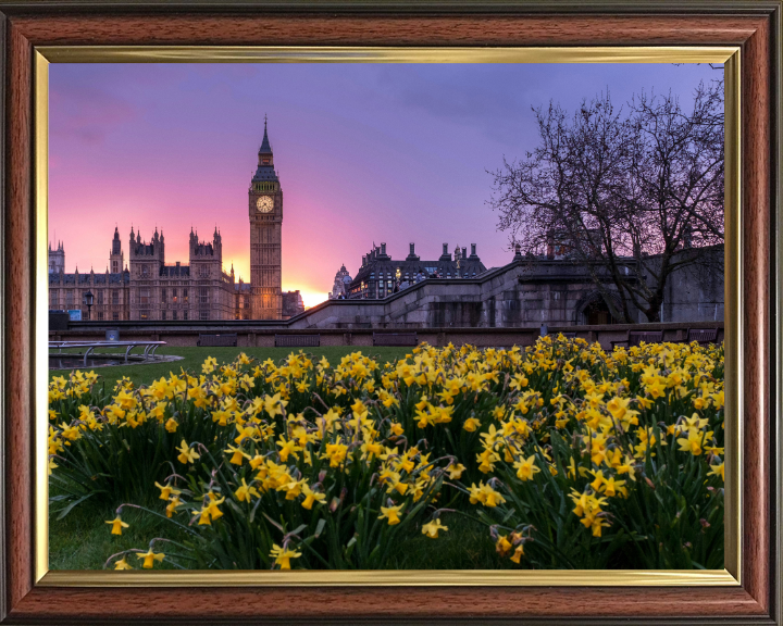 Westminster London in spring at sunset Photo Print - Canvas - Framed Photo Print - Hampshire Prints