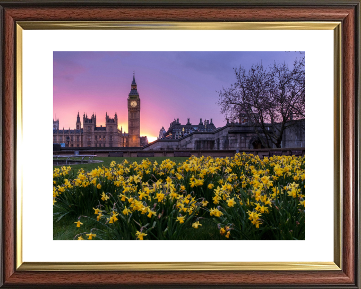 Westminster London in spring at sunset Photo Print - Canvas - Framed Photo Print - Hampshire Prints