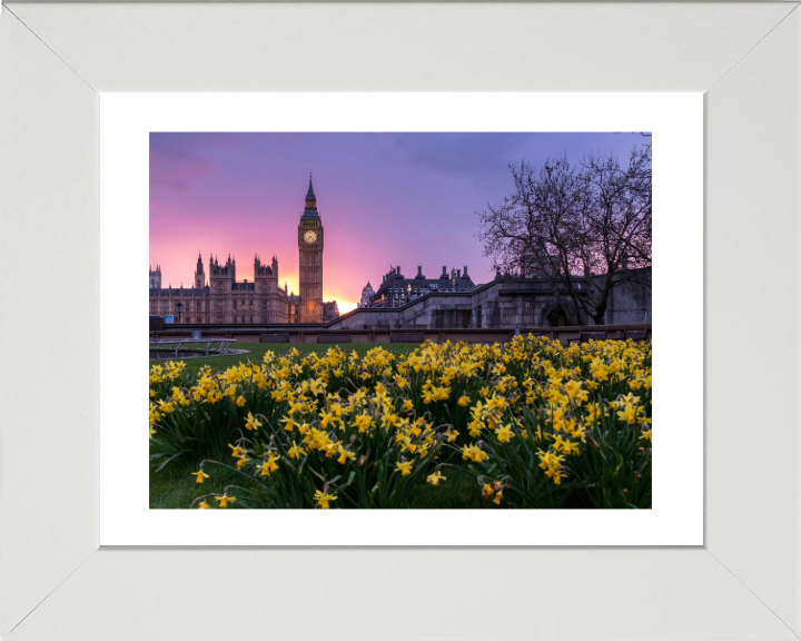 Westminster London in spring at sunset Photo Print - Canvas - Framed Photo Print - Hampshire Prints