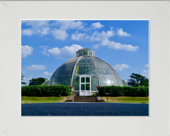 Kew Gardens in London Photo Print - Canvas - Framed Photo Print - Hampshire Prints