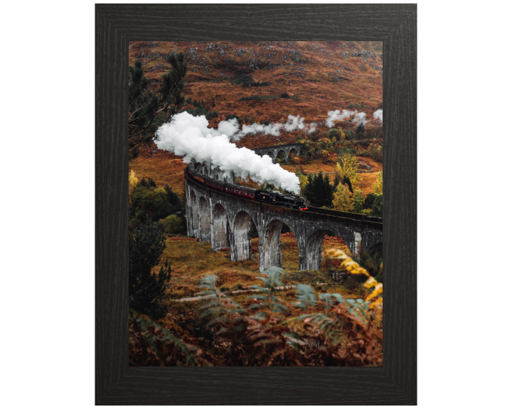 steam train on the Glenfinnan Viaduct Scotland Photo Print - Canvas - Framed Photo Print - Hampshire Prints