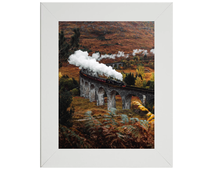 steam train on the Glenfinnan Viaduct Scotland Photo Print - Canvas - Framed Photo Print - Hampshire Prints